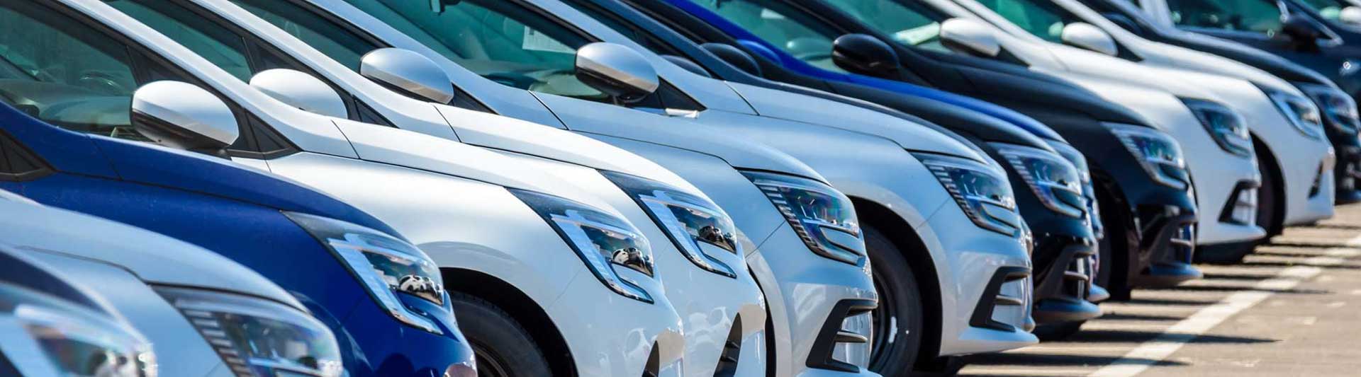 A row of different coloured fleet vehicles